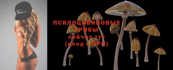 герыч Елизово