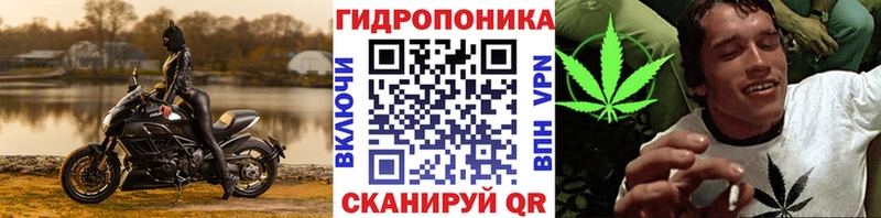 Конопля тримм Ладушкин